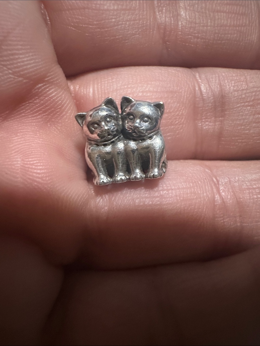 Pandora Purrfect Together Charm
